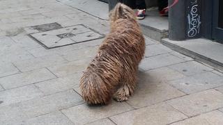 20180215_093002.jpg
